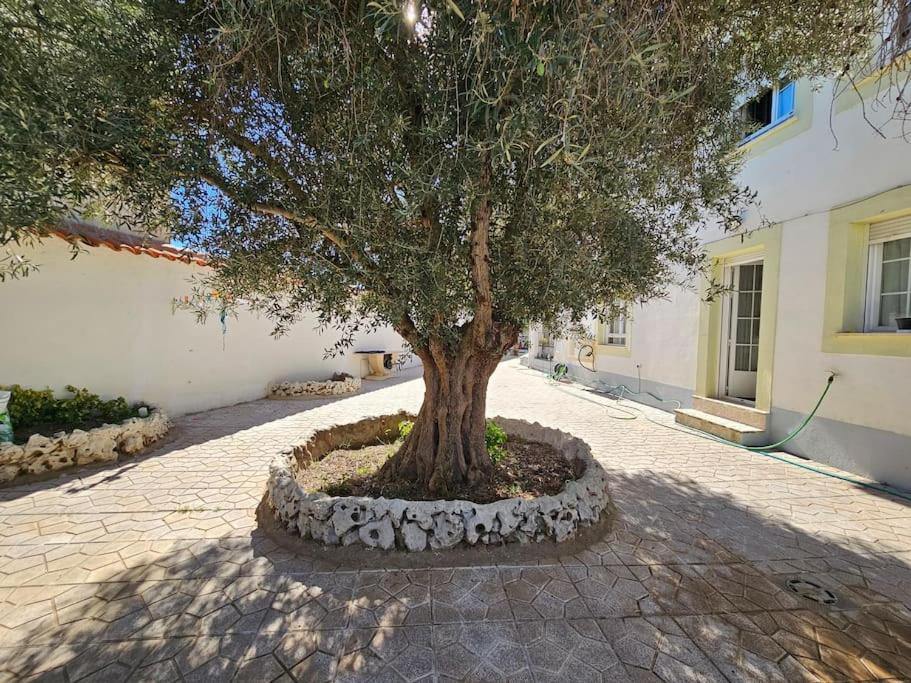 La Casa Del Arbol Villa Fuentiduena de Tajo Ngoại thất bức ảnh