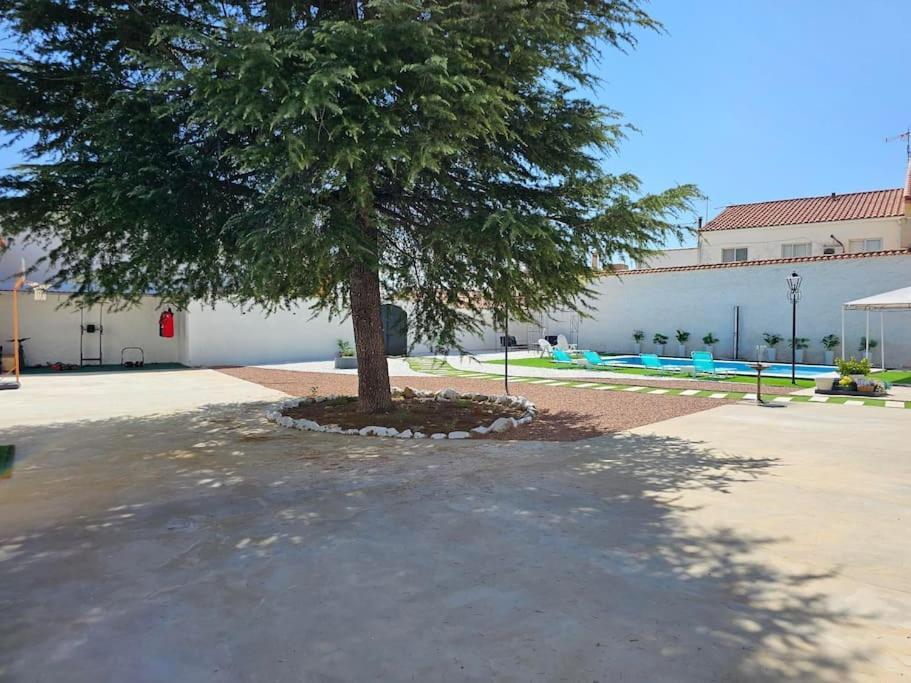 La Casa Del Arbol Villa Fuentiduena de Tajo Ngoại thất bức ảnh